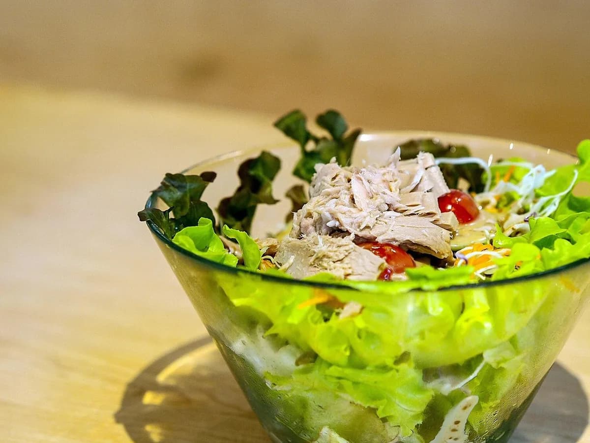 salad, tuna salad, clean food, vegetable, food, menu, tuna, tomato, green oak, red oak, tuna salad, tuna salad, tuna salad, tuna salad, tuna salad, tuna