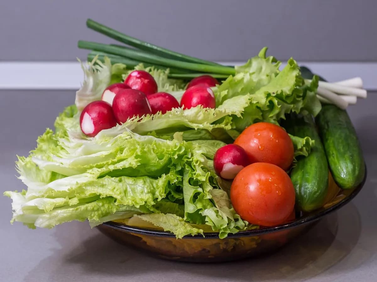 vegetables, cucumber, onion, salad, food, healthy, organic, fresh, vegetarian, diet, tomato, green, pepper, eating, nutrition, vegan, raw, natural, carrot, vitamin, nature, cabbage, harvest, red, ingredient, agriculture, apple, lettuce, garlic, market, eggplant, leaf, meal, ripe, fruit, garden