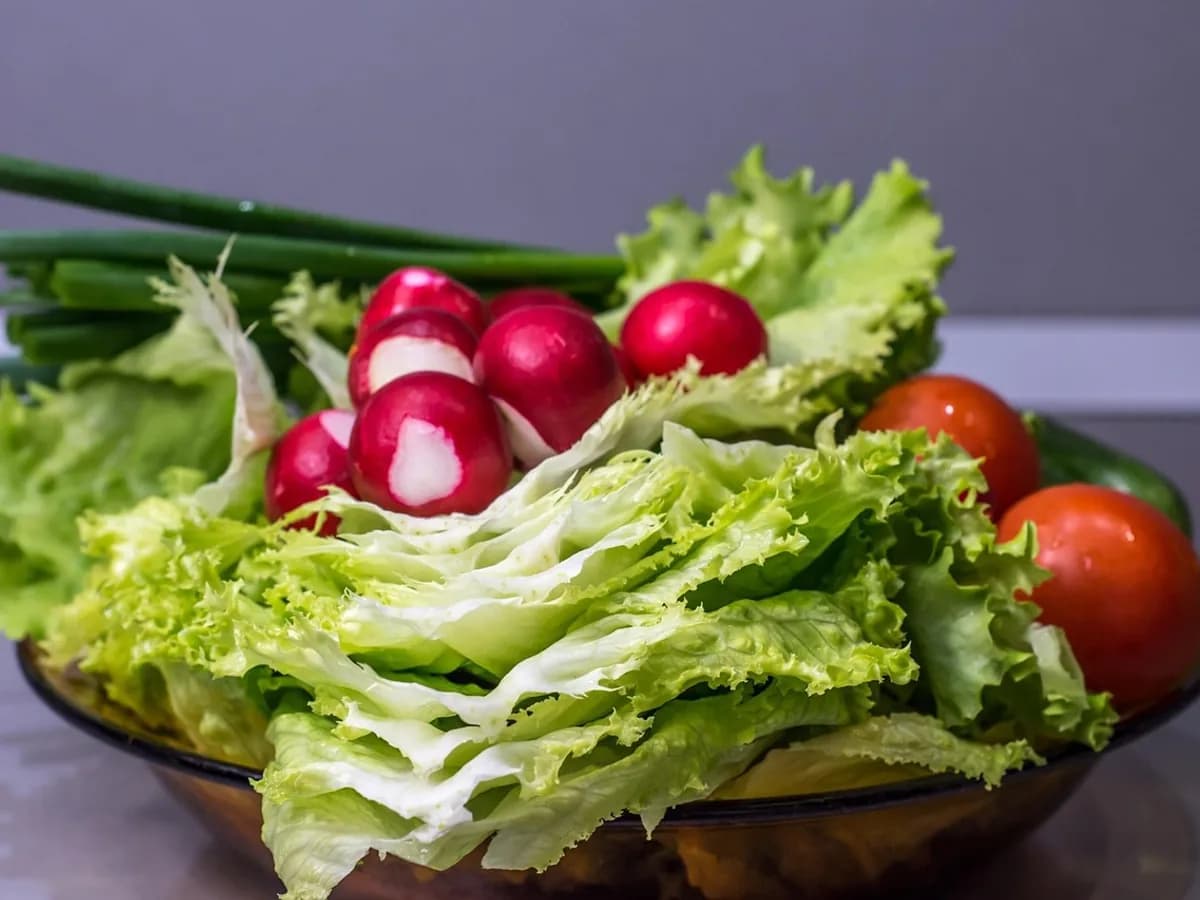 vegetables, cucumber, onion, salad, food, healthy, organic, fresh, vegetarian, nature, diet, tomato, green, pepper, eating, nutrition, vegan, raw, natural, carrot, vitamin, cabbage, harvest, red, ingredient, agriculture, apple, lettuce, garlic, market, eggplant, leaf, meal, ripe, fruit, garden
